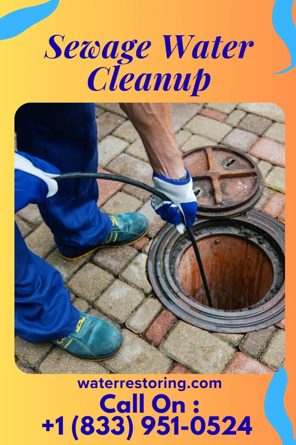 Sewage Water Cleanup in Pistakee Highlands, IL